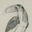 Gaston SUISSE (1896-1988) - Toucan. 1927.